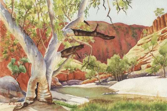 Watercolour painting of Ormiston Gorge